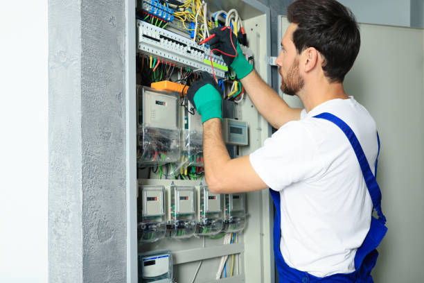 Best Electric Panel Repair  in Williamson, WV