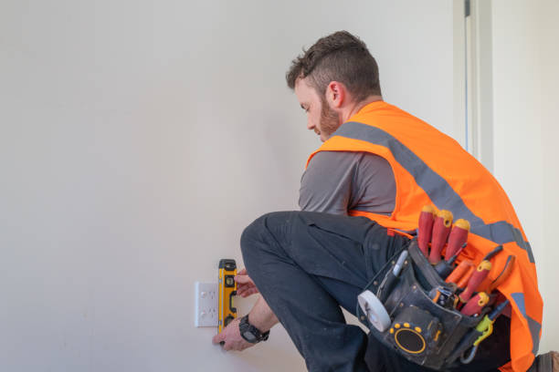 Best Electrical System Inspection  in Williamson, WV